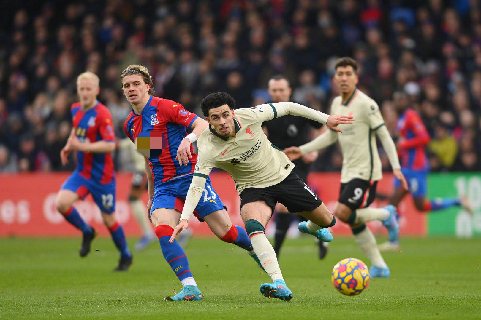 愛好者拍攝 愛好者拍攝